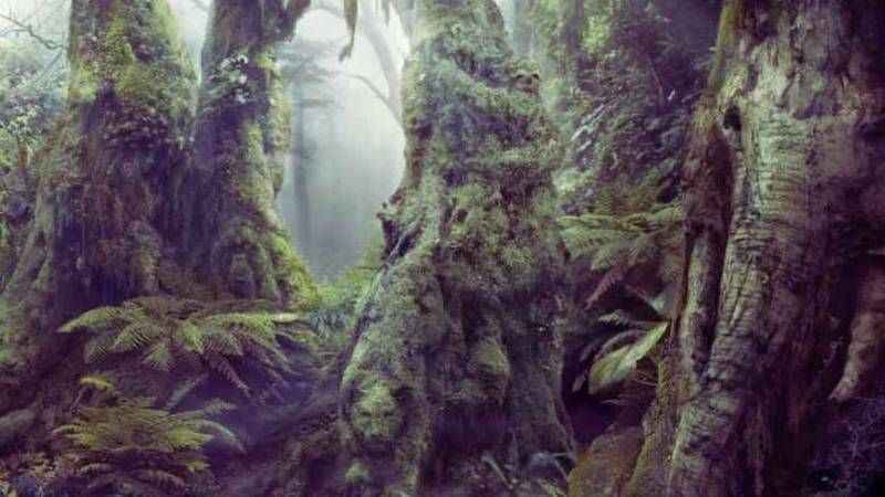 Sadece IQ’su 150 olanlar görüyor! Resimde gizli hayvanlara bakın…